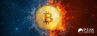 BRC-20 Tokens: The New Phenomenon on the Bitcoin Network